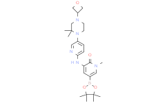 3-[[5-[2,2-dimethyl-4-(oxetan-3-yl)piperazin-1-yl]-2-pyridyl]amino]-1-methyl-5-(4,4,5,5-tetramethyl-1,3,2-dioxaborolan-2-yl)pyridin-2-one