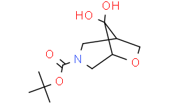 tert-butyl 8,8-dihydroxy-6-oxa-3-azabicyclo[3.2.1]octane-3-carboxylate