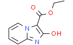 (E)-3-(乙氧基(羟基)亚甲基)咪唑并[1，2-a]吡啶-2(3H)-酮,≥95%