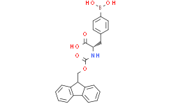 (S)-2-((((9H-芴-9-基)甲氧基)羰基)氨基)-3-(4-硼苯基)丙酸