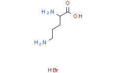 聚-L-鸟氨酸 氢溴酸盐