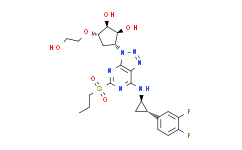 Cortistatin-29 (1-13) (rat) (trifluoroacetate salt)