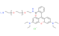 氨基-聚乙二醇-RhB
