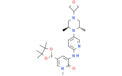 3-[[5-[(2S,6S)-2,6-dimethyl-4-(oxetan-3-yl)piperazin-1-yl]-2-pyridyl]amino]-1-methyl-5-(4,4,5,5-tetramethyl-1,3,2-dioxaborolan-2-yl)pyridin-2-one