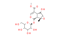 Phlorigidoside C,98%