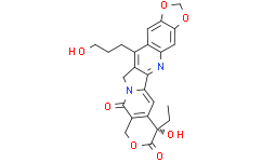 10N喜树碱衍生物(FL118衍生物)