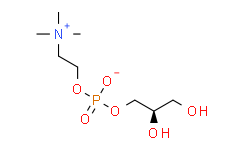 sn-Glycero-3-phosphocholine