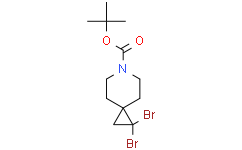 tert-butyl 1,1-dibromo-6-azaspiro[2.5]octane-6-carboxylate