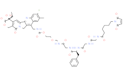 MC-GGFG-AM-(10Me-11F-Camptothecin)