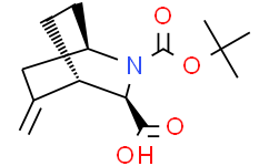 (1R,3R,4S)-2-tert-butoxycarbonyl-5-methylene-2-azabicyclo[2.2.2]octane-3-carboxylic acid