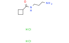 N-(3-aminopropyl)cyclobutanecarboxamide;dihydrochloride