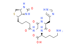 生物素酰基甘氨酰组氨酰赖氨酸,95%