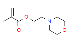 甲基丙烯酸2-吗啉基乙酯,≥95%，含稳定剂MEHQ