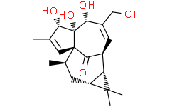 巨大戟醇