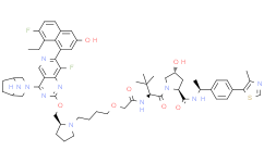 PROTAC KRAS G12D degrader 1