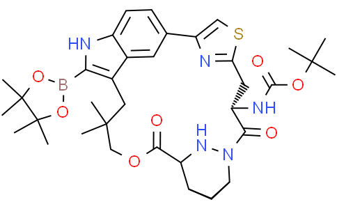 RMC6236