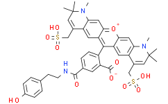 5-AF594 tyramide
