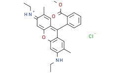 罗丹明590氯化物,≥90%