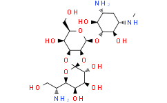 潮霉素B溶液