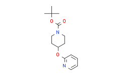 1-Boc-4-(2-吡啶基氧基)哌啶,95%