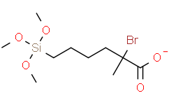 2-溴-2-甲基丙酸(3-三甲氧基硅基)丙酯,95%