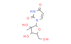 2'-C-甲基尿苷,98%
