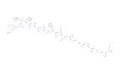 Procathepsin B (26-50) (rat)