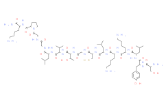 Procathepsin B (36-50) (rat)