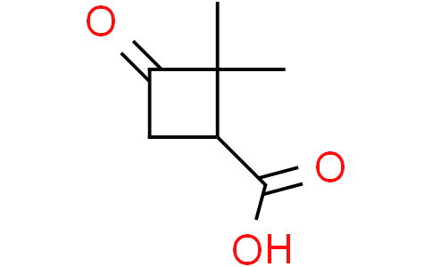 2,2-dimethyl-3-oxocyclobutane-1-carboxylic acid