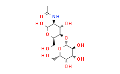 N -乙酰- D- 乳糖胺,98%
