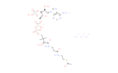 乙酰辅酶A三锂盐,≥83%(Enzymatic)