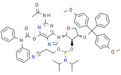 DMTr-TNA-G(O6-CONPh2)(N2Ac)-amidite