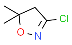 3-氯-4，5-二氢-5，5-二甲基异恶唑,95%