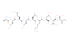HIV-1 gag Protein p24 (65-73) (isolates MAL/U455)