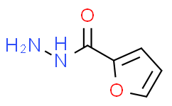 2-呋喃酸甲肼,98%
