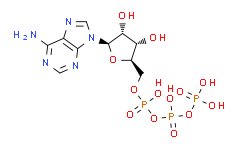 腺苷-5'-三磷酸腺苷 (ATP) 二钠盐 水合物