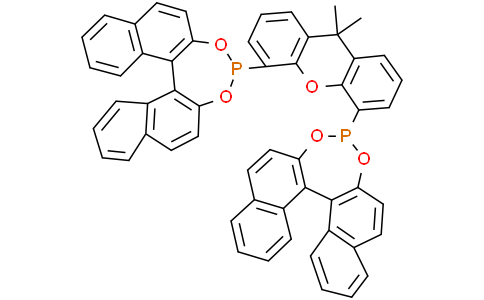 (11bS,11′bS)-4,4′-(9,9-DiMethyl-9H-xanthene-4,5-diyl)bis-dinaphtho[2,1-d:1′,2′-f][1,3,2]dioxaphosphepinCas:349114-57-4