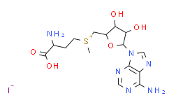 S-(5′-腺苷)-L-甲硫氨酸碘盐,80% (HPLC)