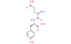 Glutamyl tyrosine