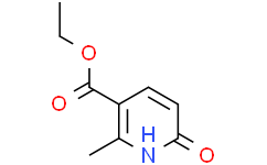 2 - 甲基-6 - 氧代-1-2,6 - 二氢- 3 - 羧酸乙酯