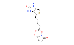 [Alfa Aesar](+)-生物素N-琥珀酰亚胺酯