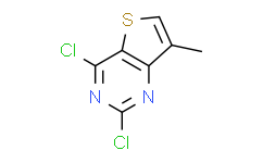 2，4-二氯-7-甲基噻吩并[3，2-D]嘧啶,98%