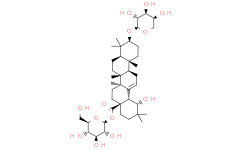 2025新老澳门原料