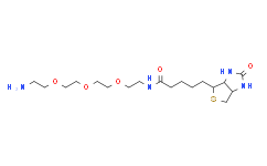 Amine-PEG3-Biotin