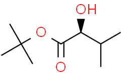 [Alfa Aesar](S)-Alpha羟基异正戊酸叔丁酯