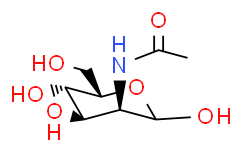 N-乙酰-D-甘露糖胺 一水合物,≥98%