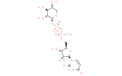 二磷酸尿苷木糖