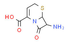 (6R，7R)-7-氨基-8-氧代-5-硫杂-1-氮杂双环[4.2.0]辛-2-烯-2-羧酸,97%