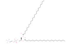 1，2-双二十二碳酰基-Sn-甘油-3-磷酰胆碱,>99%