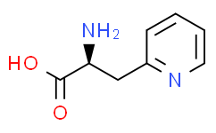 3-(2-Pyridyl)-Alanine